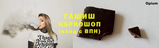 гашик Беломорск