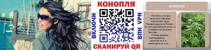 цена   Володарск  Конопля ГИДРОПОН 